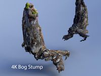 Bog Wood Stump