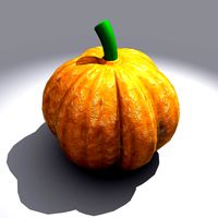 Pumpkin