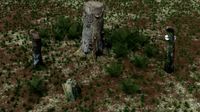 Stump pack