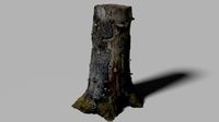 Large stump