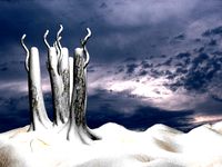 Snow Land