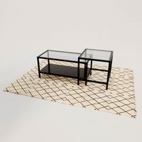 Double Coffee Table with Carpet