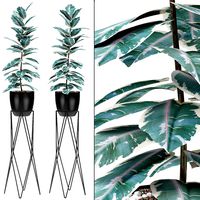 Plant in Pot Flowerpot Exotic Plant