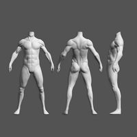 Male Body