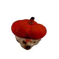Pumpkin (16)