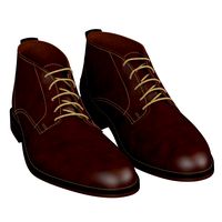 Men brown shoes