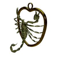 Scorpio Zodiac Sign Model