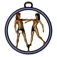 Gemini Zodiac Sign Model