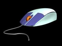 mouse