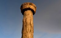 Ancient columns