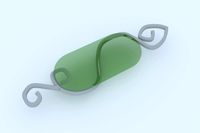 jewellery brooch 1