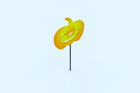 food candy pumpkin 5