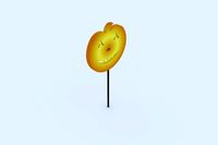 food candy pumpkin 1