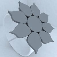 jewellery ring 1