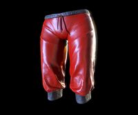 breeches