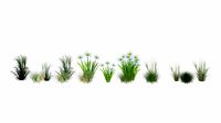 LOWPOLY GRASS