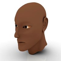 Human Head