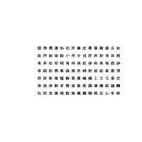 Chinese MS Mincho font set10 CG CAD data