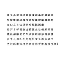 Chinese MS PMincho font set6 CG CAD data