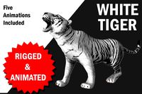 White Tiger with animation