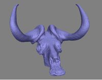 Buffalo Skull Raw Scan 10mil Poly