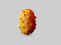 Kiwano Cucumis metuliferus