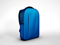 Casual BackPack 011