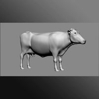 cow