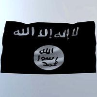 Flag for wall (ISIS)