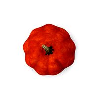 Pumpkin