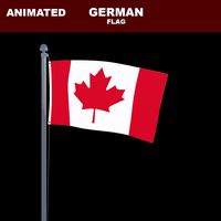 animated flag