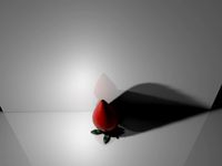 wild strawberries