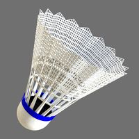 Shuttlecock 01(1)