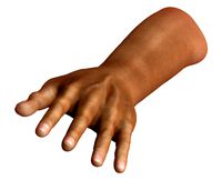 Realistic Hand