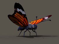 RealisticButterfly ( Rigged )