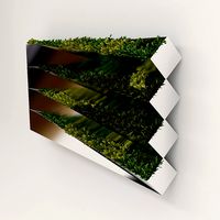 Grass mirror