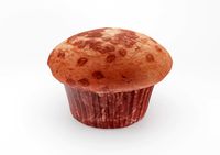 Chocolate Chip Muffin