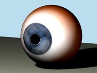 Eye