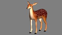 Fawn / Deer 3D Model