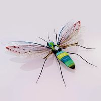 Insect concept