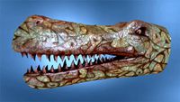 Dinosaur Head