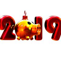new year 2019