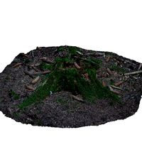 RealiScan Photogrammetry Small Stump