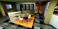 Large Carpet Store