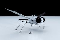 Dragonfly Robot