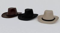 cowboy hat