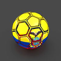Soccerball dissasembled Ecuador