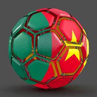 Soccerball dissasembled Cameroon