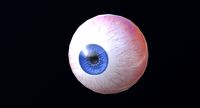 Eyeball realtime model