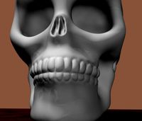 Skull